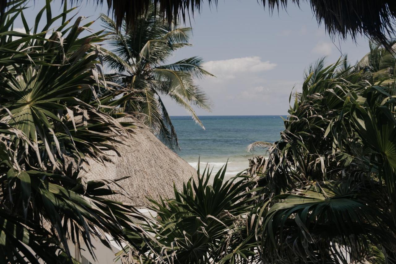 Tuup Tulum Hotel ภายนอก รูปภาพ